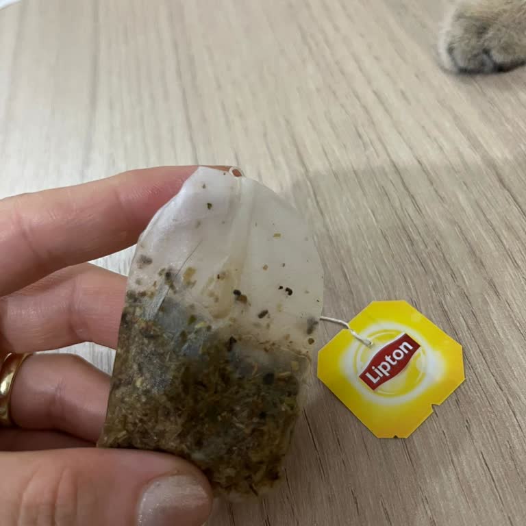 Lipton Poşet Çaydan Kıl Çıkması Ve Müşteri Hizmetlerinden Yanıt Alamama