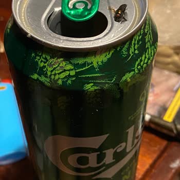 Bira Kutusundan Sinek Çıktı, Şok Oldum!