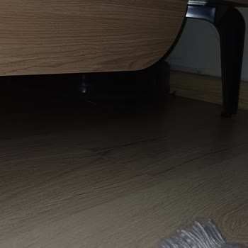 Sürekli Arıza Yapan Süpürge Mağduriyeti