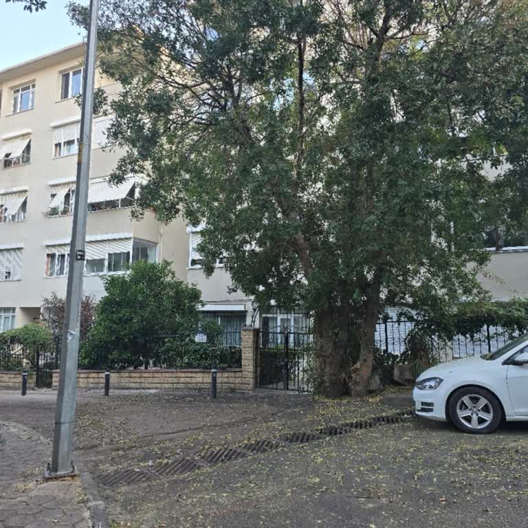 Ağacın Sebep Olduğu Hijyen Sorununa Acil Çözüm Bekliyoruz