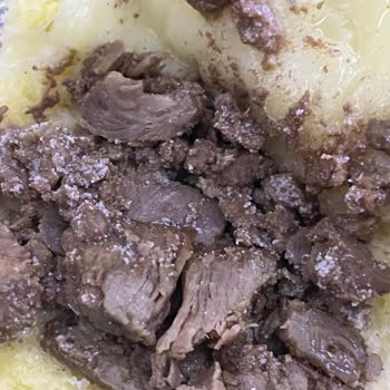 Son Kullanma Tarihi Geçmemiş Sandviçte Küf Şoku Yaşadım