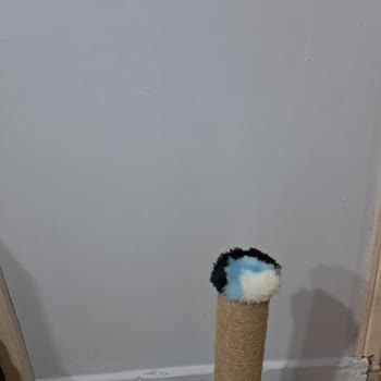 Aldığım Boya Katalogdaki Renkten Farklı Çıktı, Doğru Renk Temin Edilsin