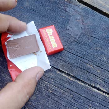 Aldığım Ülker Napoliten Çikolatanın İçinden Kurt Çıktı