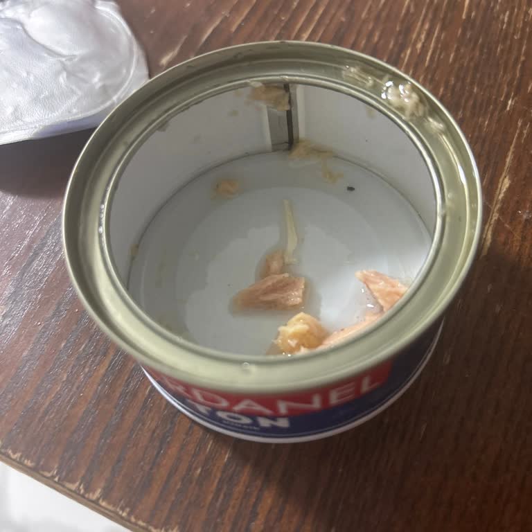 Dardanel Ton Balığında Kılçık Çıkması Ve Kalite Kontrol Endişesi