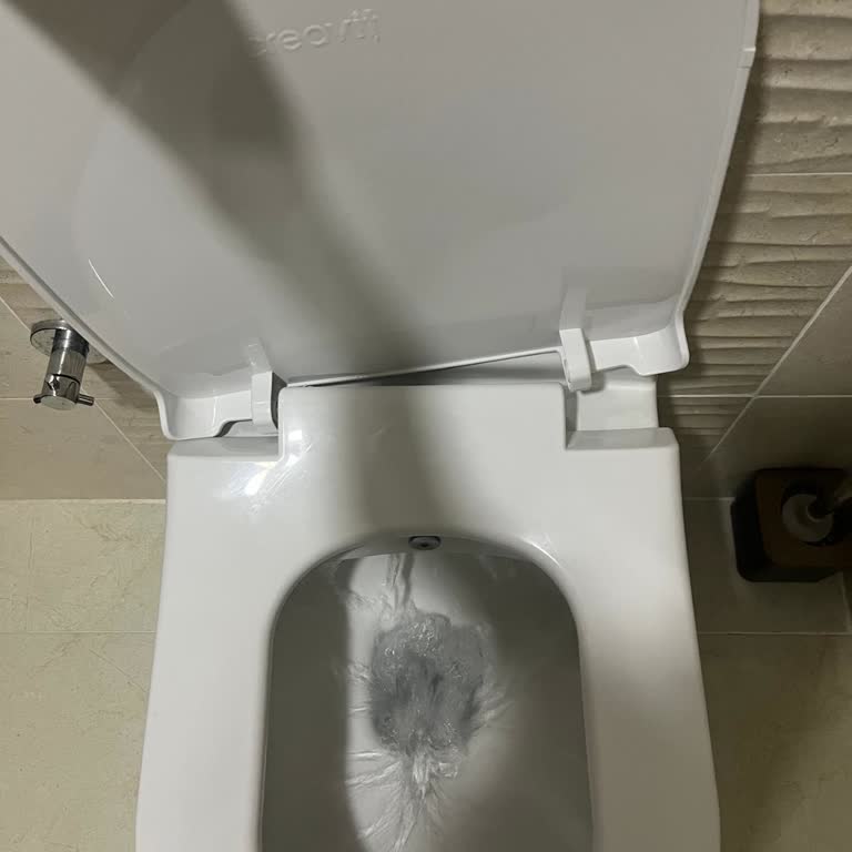 Klozet Kapağı Menteşesi Kırıldı, Yedek Parça Temini Bekliyorum