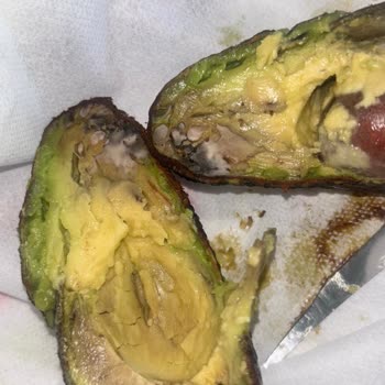 GetirMarket'ten Defalarca Sorunlu Ve Küflü Avokado Teslimatı