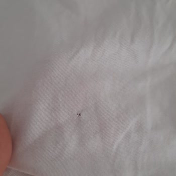 Kısa Sürede Yıpranan Tişörtler Ve Olumsuz Garanti İncelemesi