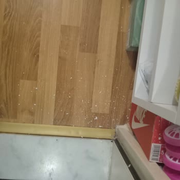 Sigorta Kapsamında Zamanında Ve Güvenilir Hizmet Alamama, Ödeme Gecikmesi