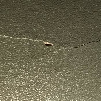 Çamaşır Makinesinde Çizik Ve Aşırı Titreşim Sorunu, Değişim Veya İade Talebi