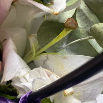 Çiçek Sepeti Siparişimde Çiçekler Hasarlı Ve Hizmet Yetersiz