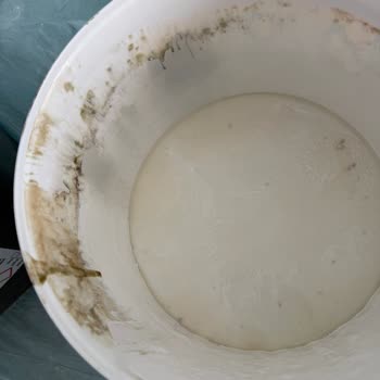 Küflü Ve Kokulu Boya İçin Destek Ve Çözüm Sağlanmadı