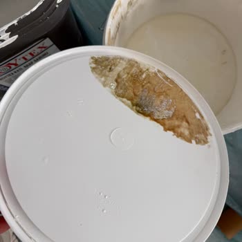 Küflü Ve Kokulu Boya İçin Destek Ve Çözüm Sağlanmadı