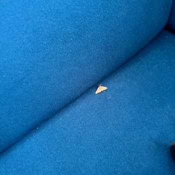 Duja Otel Bodrumda Temizlik Ve Hizmet Sorunları Nedeniyle Hayal Kırıklığı Yaşadık