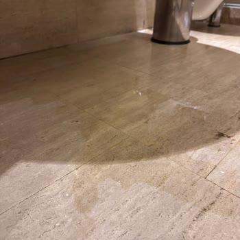 Duja Otel Bodrumda Temizlik Ve Hizmet Sorunları Nedeniyle Hayal Kırıklığı Yaşadık