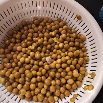 Konserve Bezelyede Sümüklü Böcek Şoku: Hijyen Ve Güven Talebi