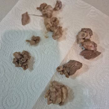 Köfteci Yusuf Şubesinden Alınan Etin Kalitesi Ve İletişim Sorunları