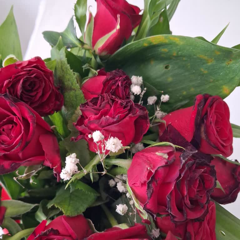 Solmuş Çiçek Ve İlgisiz Müşteri Hizmetleri Nedeniyle Mağduriyet