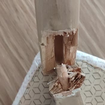 İlk Kullanımda Kırılan Sandalyeye Garanti Dışı Yanıt Ve Destek Eksikliği