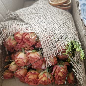 Kurumuş Ve Dökülmüş Çiçek, İlgisiz Müşteri Hizmetleri