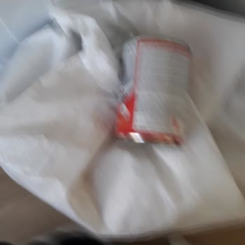 Kedi Mamasında Karafatma Böceğiyle Karşılaştım Hijyen Endişesi Yaşıyorum