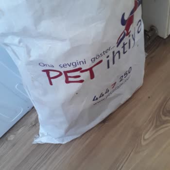 Kedi Mamasında Karafatma Böceğiyle Karşılaştım Hijyen Endişesi Yaşıyorum