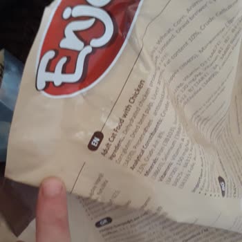 Kedi Mamasında Karafatma Böceğiyle Karşılaştım Hijyen Endişesi Yaşıyorum