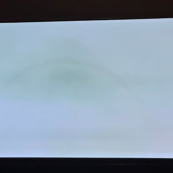 LG OLED TV Garanti Sonrası Ekranda Kalıcı Yanık Sorunu