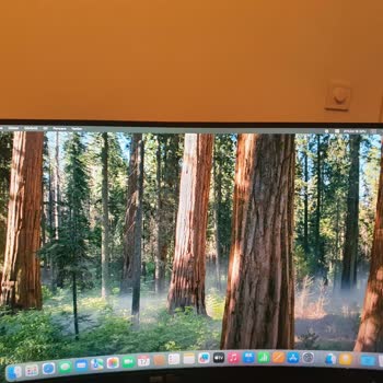 Servis Sonrası Monitörde Artan Piksel Kaybı Ve Çözümsüz İade Süreci Mağduriyeti