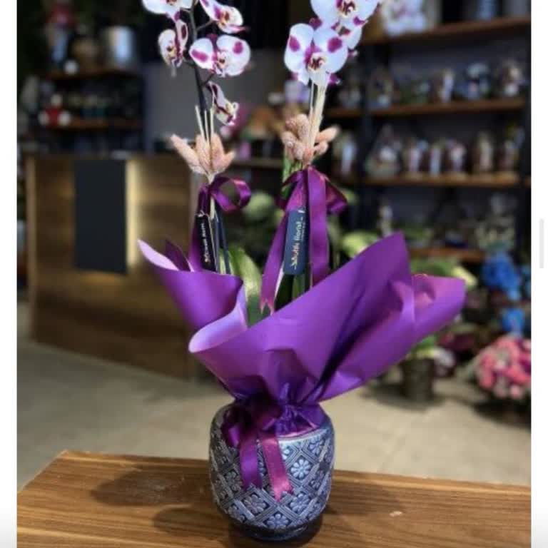 Ödeme Yapıldı, Teslimat Ve İletişim Yok; Paramın İadesini İstiyorum