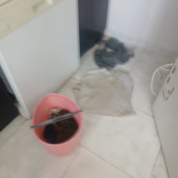 Profilo Buzdolabı Arızası Ve Servis Mağduriyeti