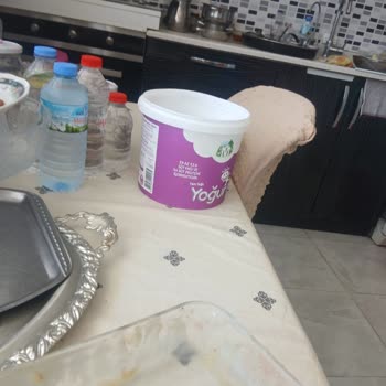 Profilo Buzdolabı Arızası Ve Servis Mağduriyeti