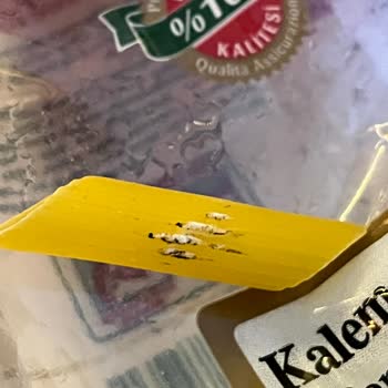 Aldığım Makarnada Küf Benzeri Lekelerle Karşılaştım Tazeliğinden Endişeliyim