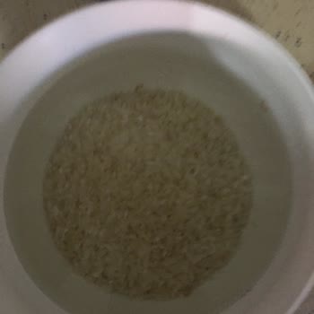 Damla Bakliyat Osmancık Pirincin İçerisinde Kurtlar