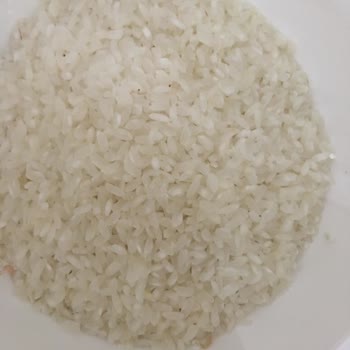 Damla Bakliyat Osmancık Pirincin İçerisinde Kurtlar