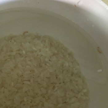 Damla Bakliyat Osmancık Pirincin İçerisinde Kurtlar