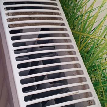 Setbaşı Fırını'nda Süregelen Hijyen Sorunları