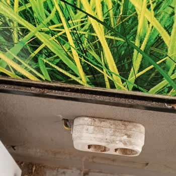 Setbaşı Fırını'nda Süregelen Hijyen Sorunları