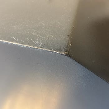 32 Gündür Çözülemeyen Su Baskını Mağduriyeti Ve Sigorta Sürecindeki Gecikme