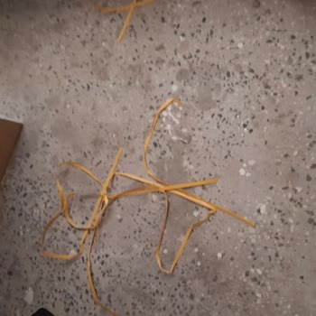 Bağlantım Komşu İçin Kesildi, İnternetim Tamamen Gitti