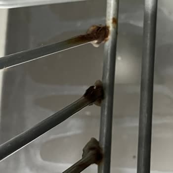 Bulaşık Makinesinde Sepet Deformasyonu Ve Pas Sorunu İçin Ücretsiz Parça Talebi