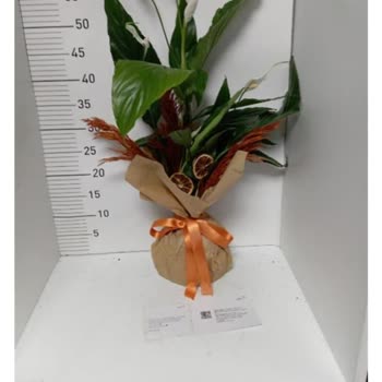 Sipariş Onayım Olmadan Farklı Ürün Gönderildi, İade Talebim Reddedildi