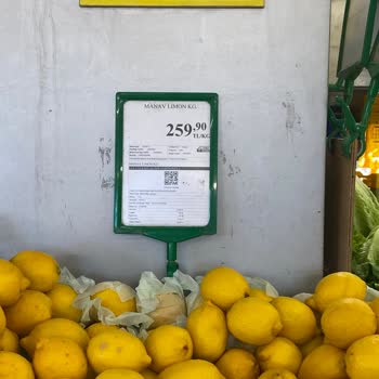 Gürmar'da Limon Fiyatlarının Yüksekliği Ve Çözüm Eksikliği