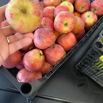 Eldar Garden Resort Hotel Balayı Tatilimizde Hizmet, Hijyen Ve Yemeklerde Büyük Eksiklikler