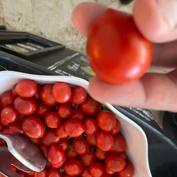 Eldar Garden Resort Hotel Balayı Tatilimizde Hizmet, Hijyen Ve Yemeklerde Büyük Eksiklikler