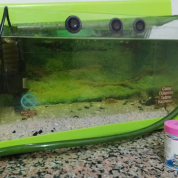 Sürekli Elektrik Kesintileri Nedeniyle Maddi Ve Manevi Mağduriyet