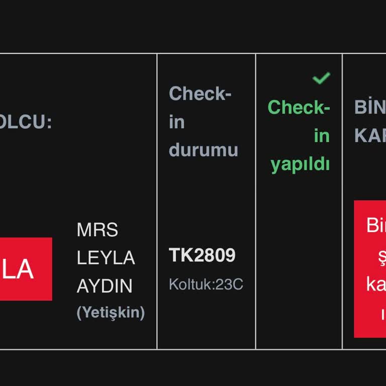 Check-in Yapılamadı Biletim Başkasına Satıldı Mağdur Edildim