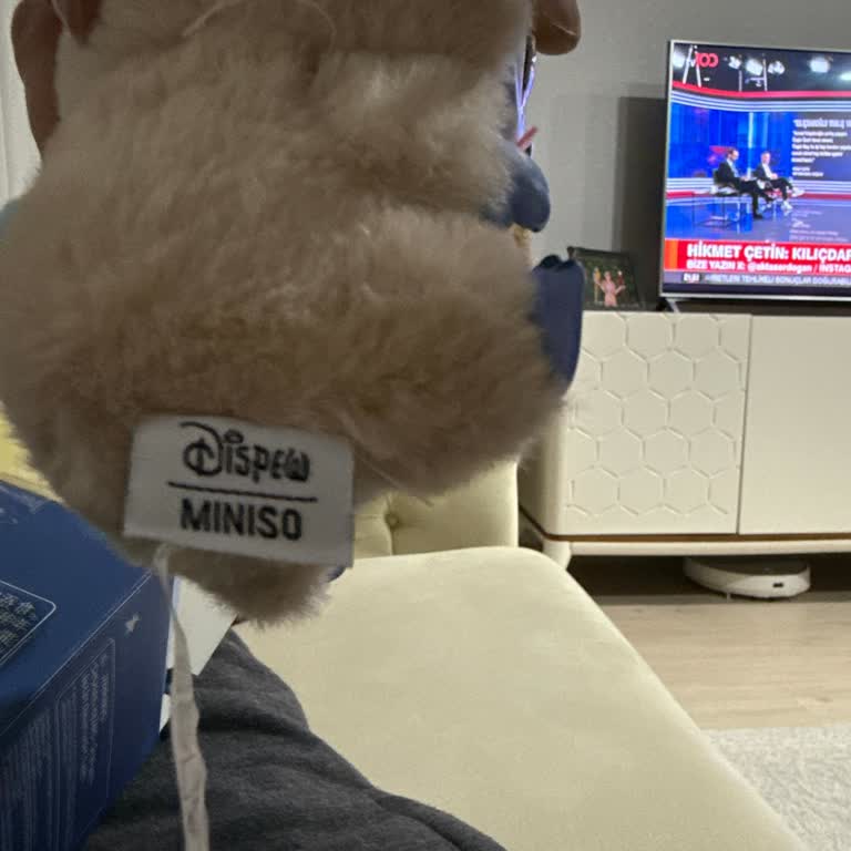 BKM'den Satın Aldığım Stitch Oyuncak Sahte Çıktı!