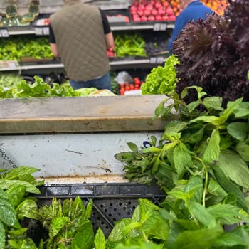 Carrefour Nurtepe Şubesinde Sebze Reyonunda Süregelen Hijyen Sorunu Ve İlgisizlik