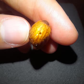 Aldığım Kuruyemişten Böcek Çıktı, İade Talep Ediyorum