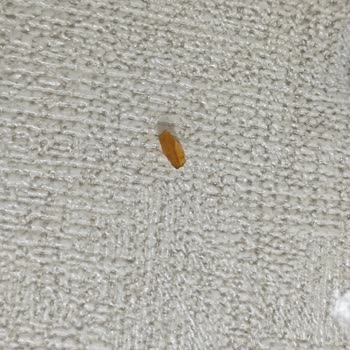 Torku Bitter Çikolatada Plastik Benzeri Yabancı Maddeyle Karşılaştım